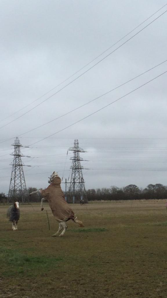 NatalieRampling's tweet image. This boy never changes