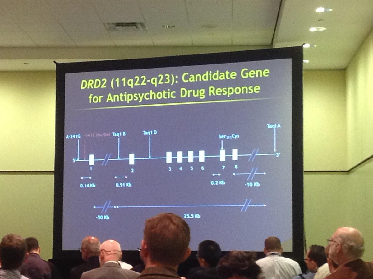 MentalHealthJam's tweet photo. Focus on the D2 dopamine receptor gene as candidate gene for research in #Schizophrenia #APAAM2015 #mentalhealth http://t.co/5xeZNB9B3w