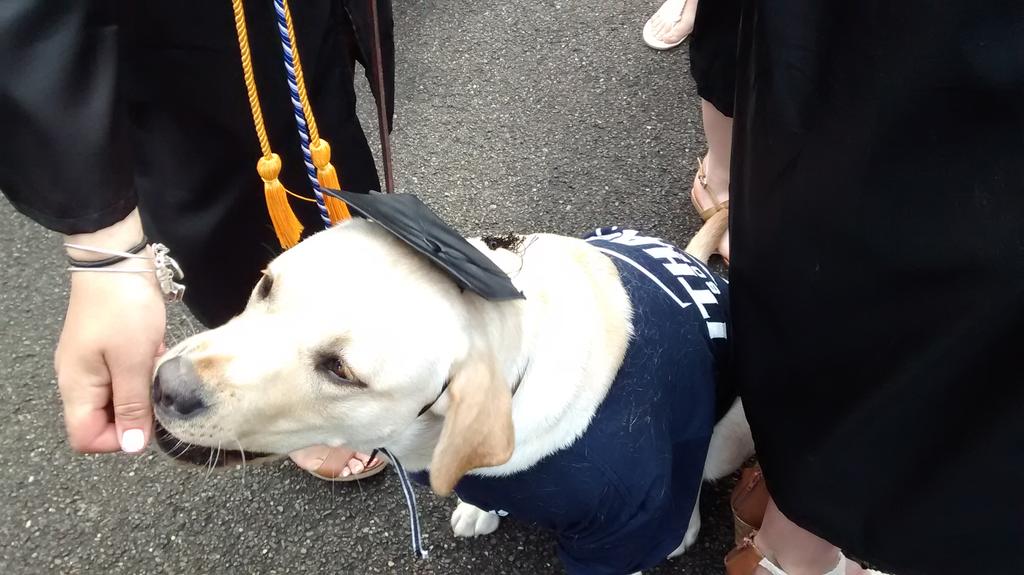 shamula's tweet photo. Someone's getting @IthacaCollege @ICSeniors2015 #ICGrads treat! @IthacaCollege @RobertsAtPark @DeanGayeski http://t.co/IvKrfS49Wh