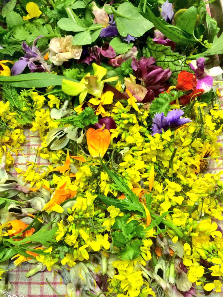 VPLodge's tweet photo. Stunning food from the team over the weekend! #wicklowlamb #edibleflowers #gooseberrygardens @CorrigansFood http://t.co/fzjgZT69kN