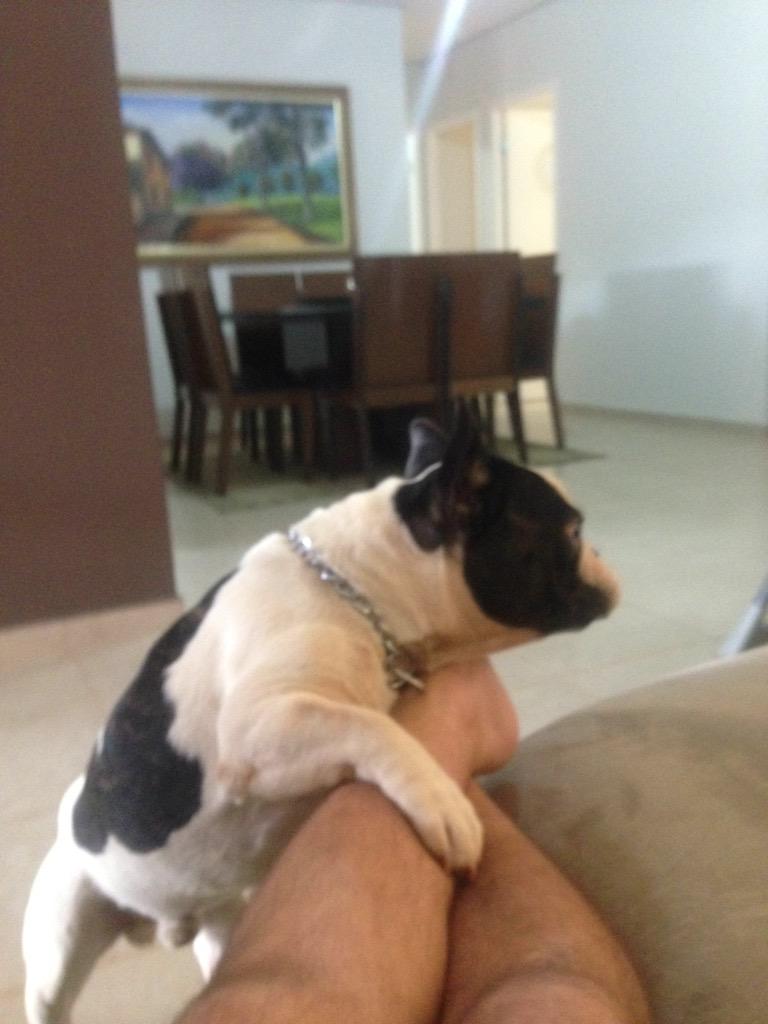 MarcoViolaReal's tweet photo. DENGOSO QUE SÓHHH.... NA HORA QUE CHEGO EM KSA É ASSIM... SEMPRE ALEGRE E ME RECEBENDO BEM. #BUDWEISER O NOME DA FERA http://t.co/dE2HkjgvvZ