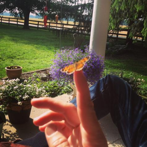 KarinBergquist's tweet photo. Lingering. #nowherefarm http://t.co/f12CYqZR5f