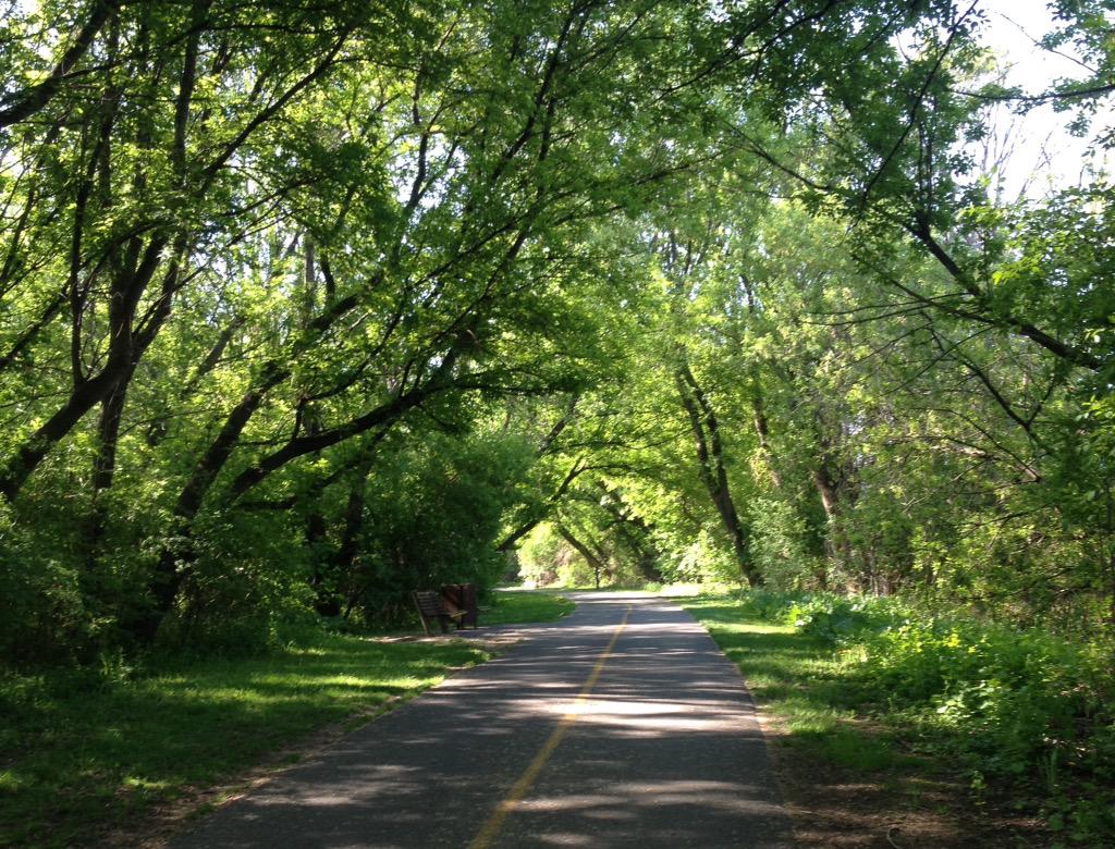 runs_4_fun's tweet image. Days like this are why I run. 15K on the paths, including 6 with Ray. #GoRay @CacophonyDialog