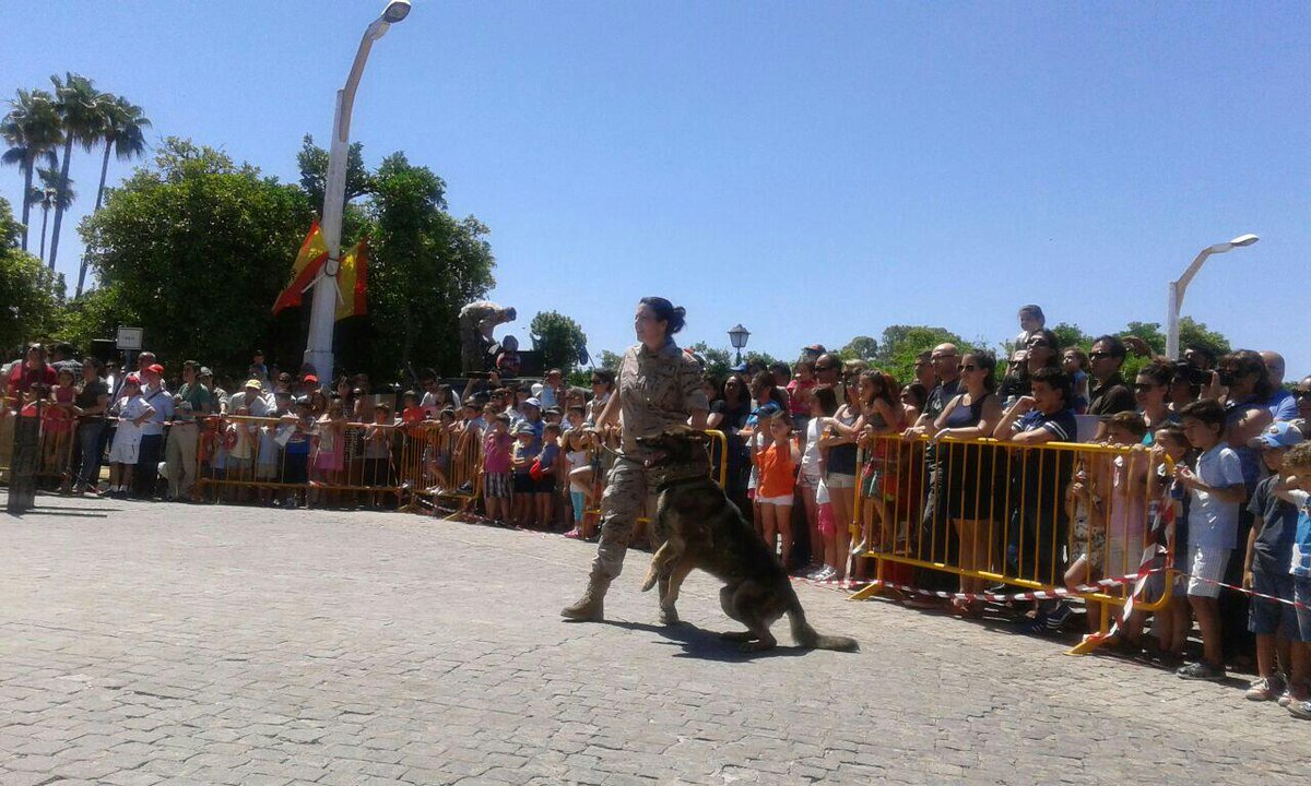 EjercitoAire's tweet photo. Finaliza una gran jornada de puertas abiertas en #ACARTablada de #Sevilla Gracias a todos por vuestra visita!! http://t.co/lPzShwtFBT