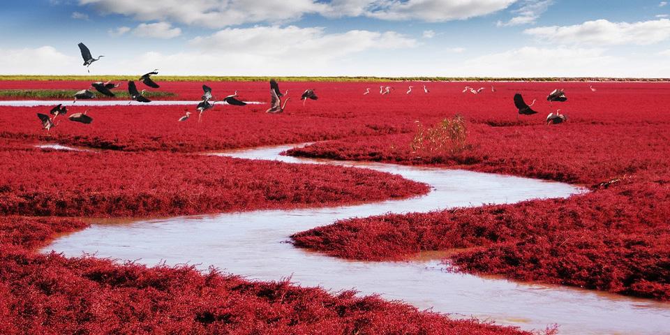 hongdotmy's tweet photo. 18+ of the most surreal places to visit before you die! View here » http://t.co/G3nCevaprJ http://t.co/ICk0jWHPHD