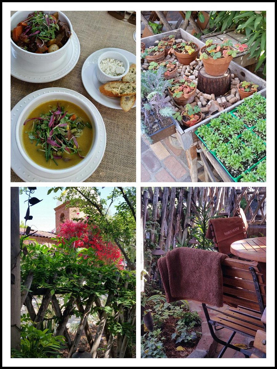 #RamosHouse #SanJuanCapistrano #RusticHideaway between #SanDiego and #LA, #TrainStop #DayTrip. #Organic #LocallyGrown