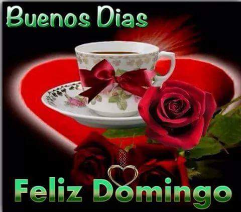 Roberto Sanchez (@06b467b98618410) on Twitter photo 