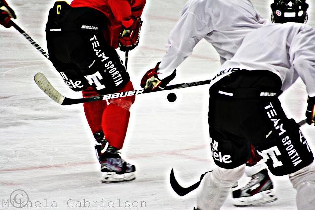 div1hockeycom tweet picture