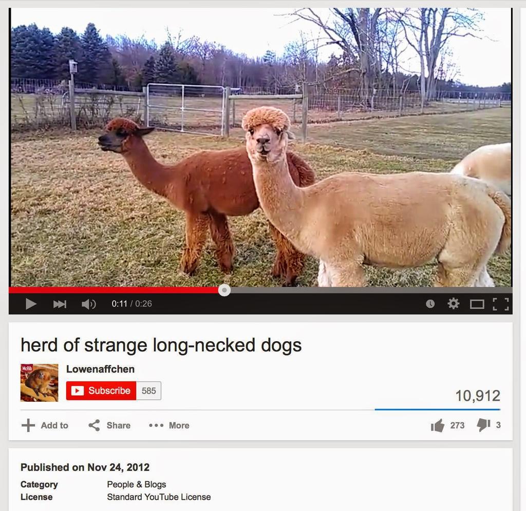 Pokemon 4 (@justyouandmeme) on Twitter photo 