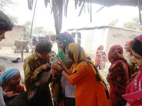 buriroGM's tweet image. Lady Veterinary Officer giving training in a Village under #BBSYDP (Live Stock Department GOS) #WomenEmpowerment #PPP