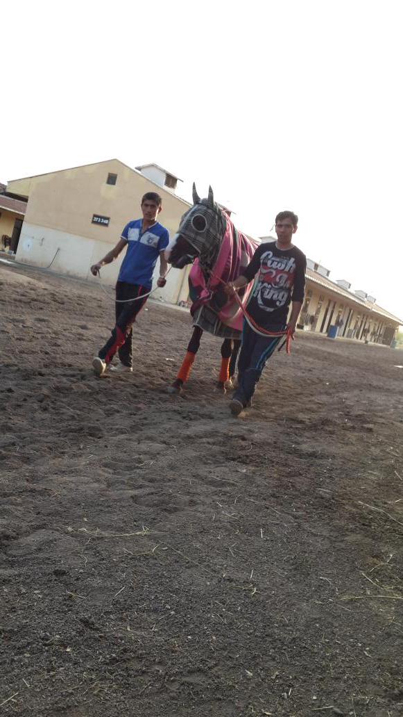 kat_semih's tweet photo. Hünkar http://t.co/PqHO9UXGkz