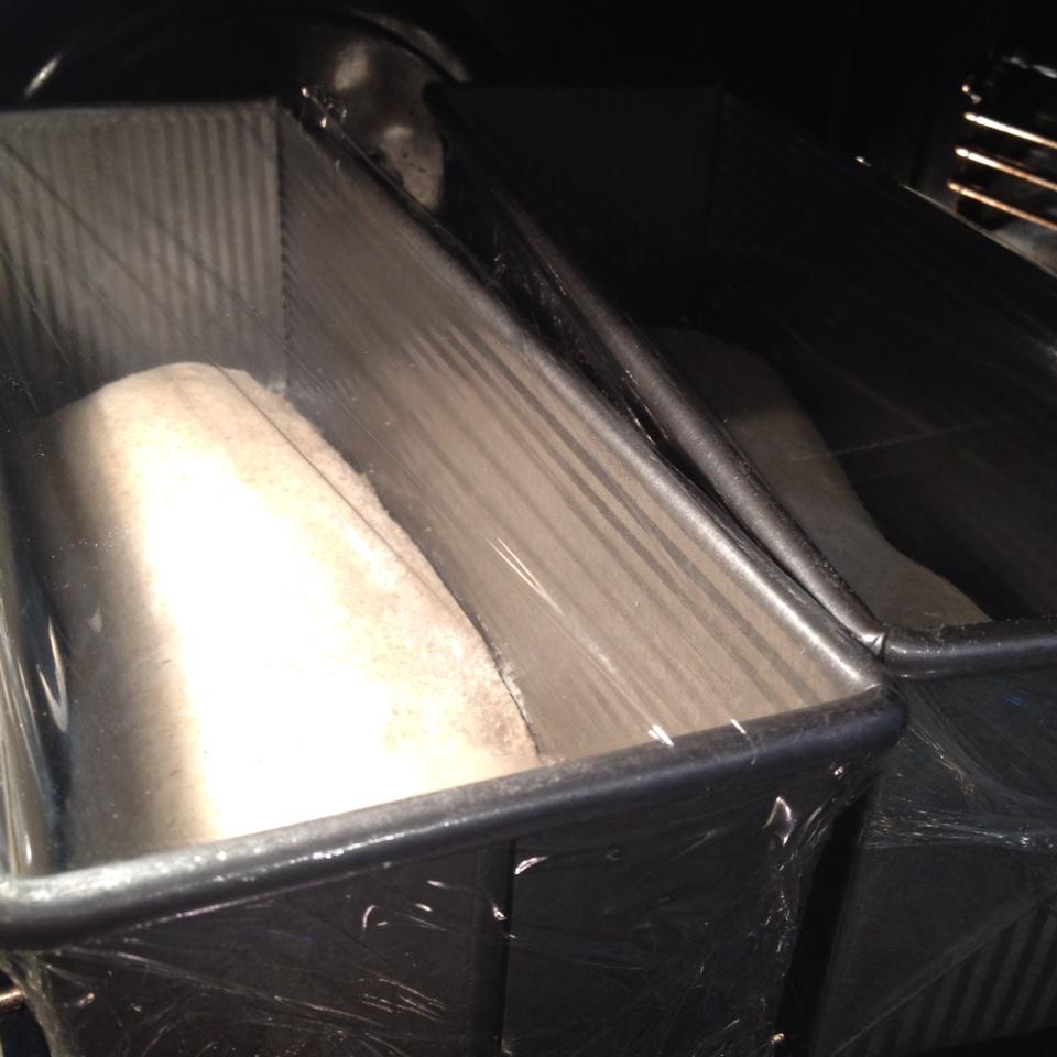 ChezPain's tweet photo. Pain de Mie, 2nd attempt. Same formula, different method - mix, ferment, timing, proof - all different. #breadalchemy http://t.co/dYuSqQnu50
