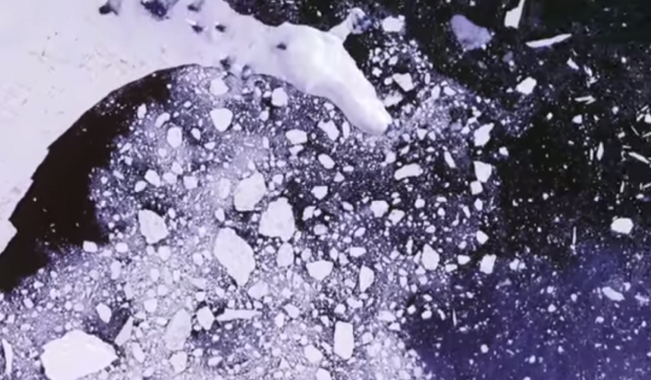 Newsweek's tweet photo. A huge Antarctic ice shelf is about to disintegrate. http://t.co/96zwPjs6PB http://t.co/xv490D7YYW