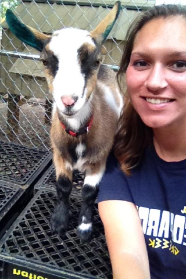 MrsDianaRowland's tweet photo. Spending time with Hot Mess! #goatherapy #mygoatatemylessonplans http://t.co/AiXFLc8Yev