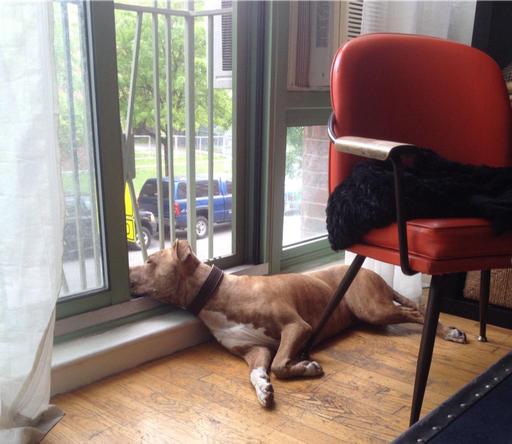 Danielita_C's tweet photo. #CurrentMood http://t.co/jvbSbUzI4r