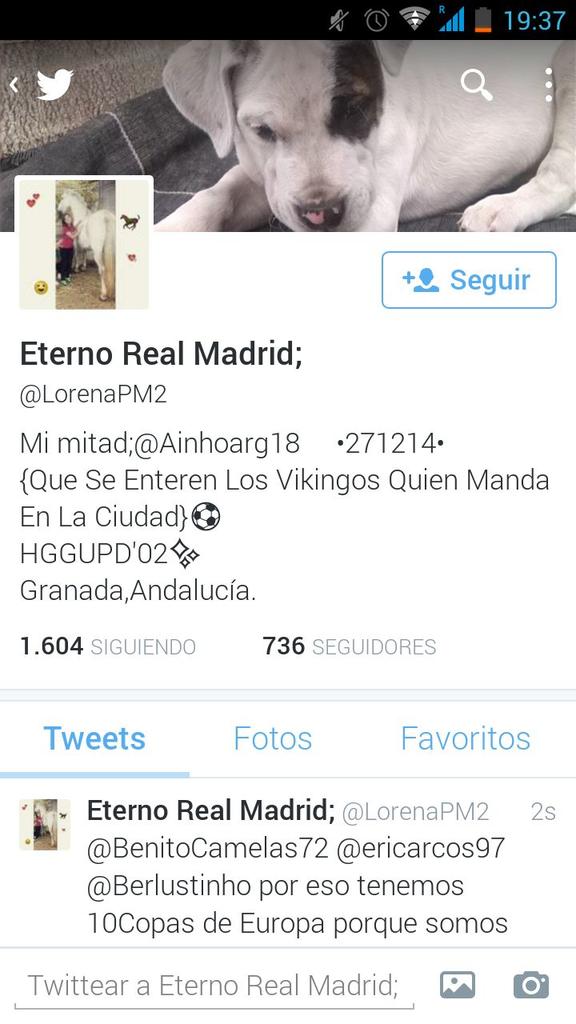 ATMCholismo's tweet photo. MADRIDISMO EN ESTADO PURO, SIN PALABRAS@LorenaPM2 http://t.co/jDWf53yxRR