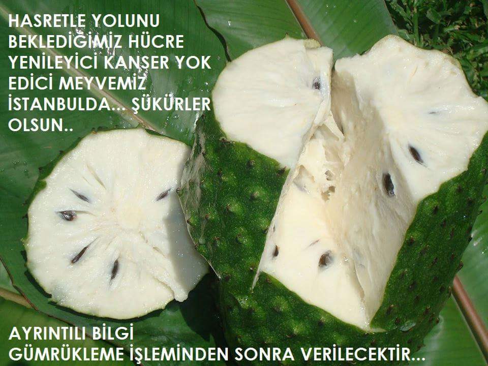gdalkoparan's tweet photo. @KansersizYasam http://t.co/pmgKXLbZ5R