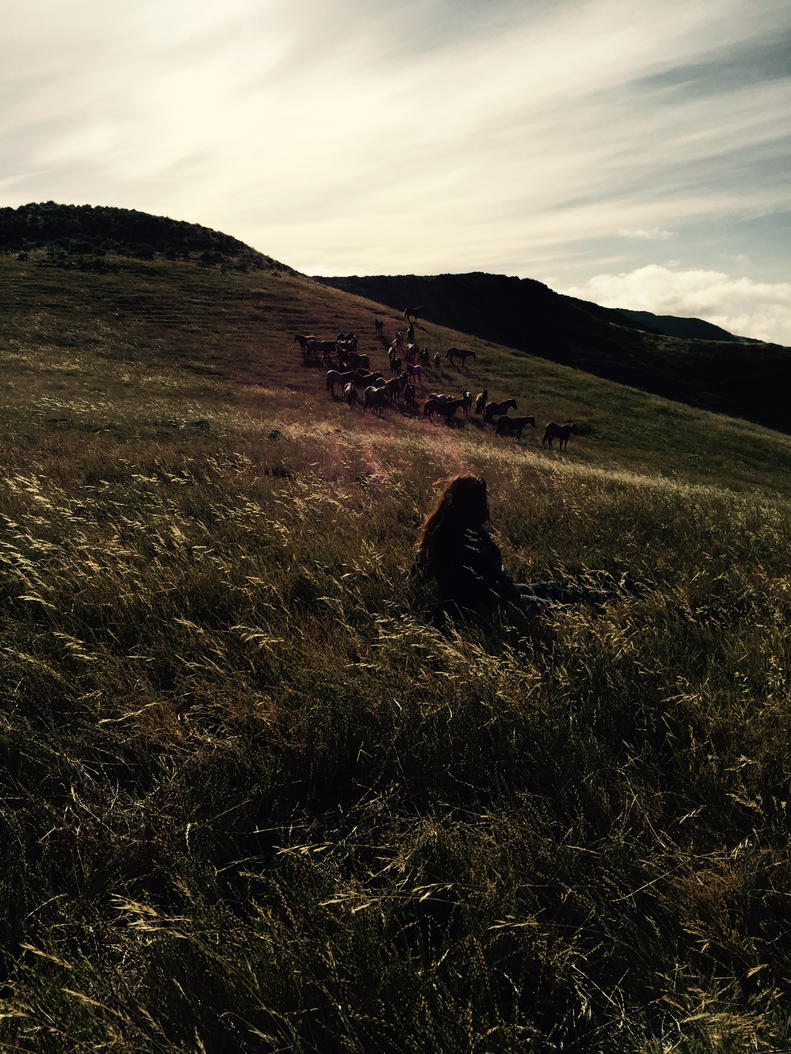 Neda de Mayo after releasing the Hart Mountain Mustang herd onto their new home in San Luis Obispo #ReturnToFreedom