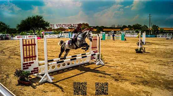 smagtomx's tweet photo. Evento Magno. Gran Premio #Hipico  #SanMigueldeAllende @OtomiSMA  disfruta... vive la experiencia http://t.co/ZXwaDDCgQK