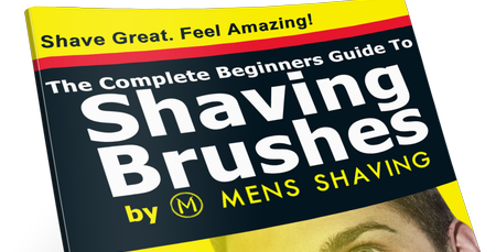 Name Your Own Price and get instant access to the e-book - bit.ly/shvbrushes