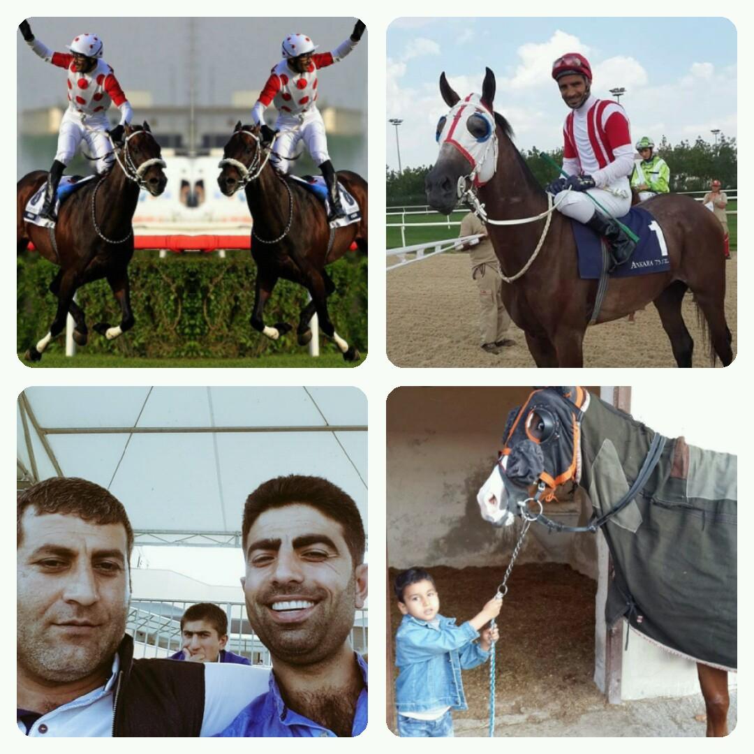 kat_semih's tweet photo. http://t.co/ZXQ2FvW0Ha