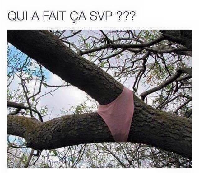 SindyOfficiel tweet picture