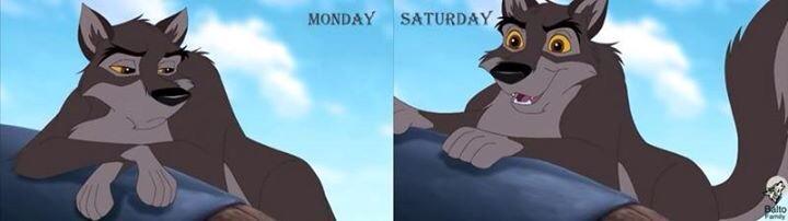 That moment when you hate Mondays #Balto