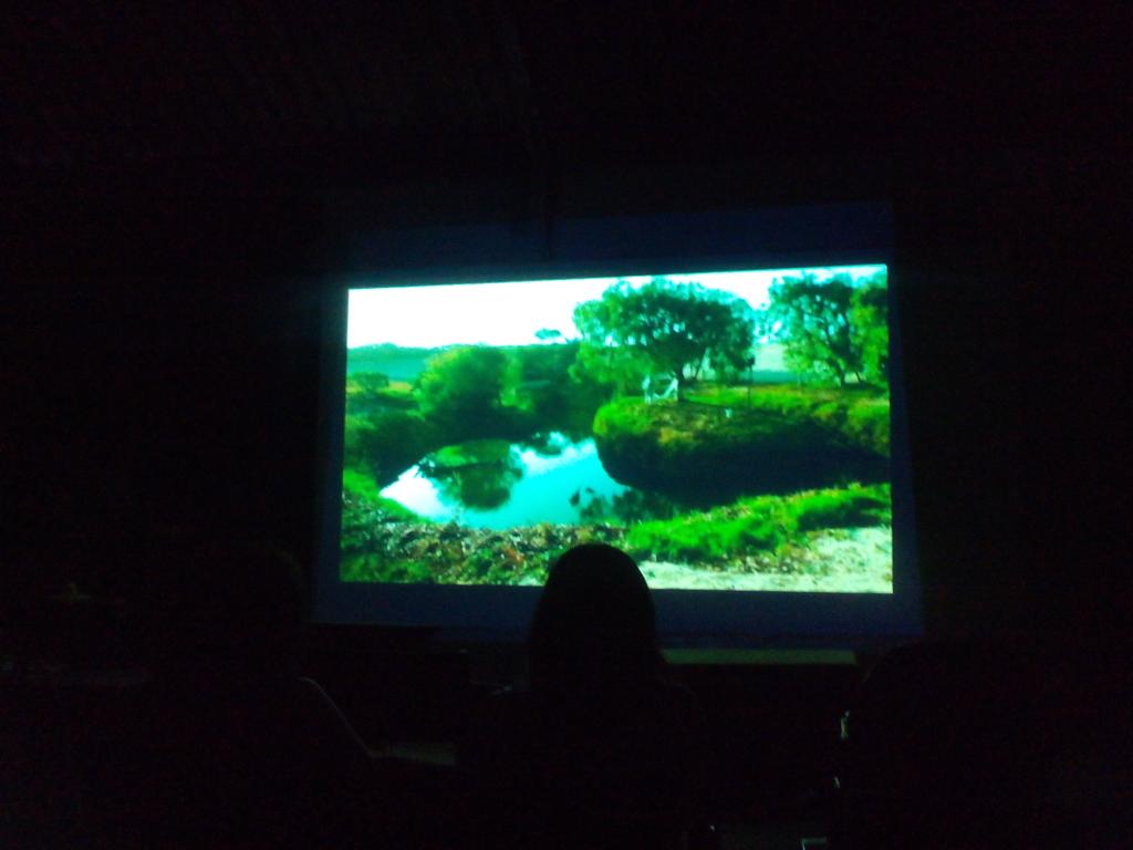IVAHMVideoArt's tweet photo. #IVAHM15 Disfrutando de los últimos frames del festival con #g=9,8 seres de luz transitando por distintos parajes http://t.co/W7MQMXBt3m
