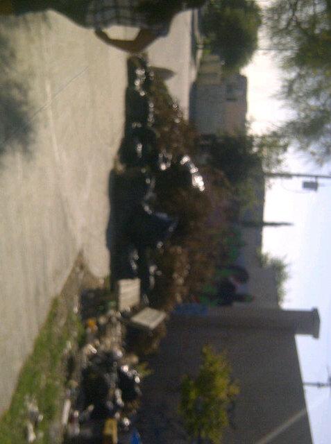 cesar60451825's tweet photo. @info7mty en paraje san jose sector rios foco de infeccion http://t.co/RTveU7JSVb
