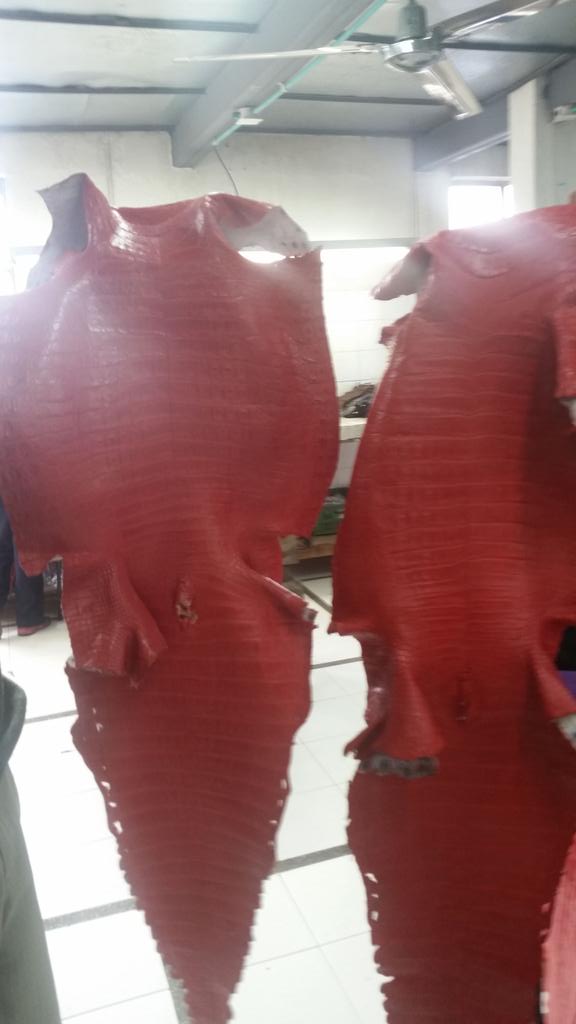 gdalkoparan's tweet photo. orjinal timsah deriler eni 40 ile 45 cm kalınlık 0.8 mm ile 1.2 mm http://t.co/oJgKfzlg8E