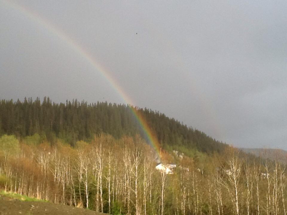 <a href="/RoarStrand6/">RoarStrand</a> hmm... Indikasjon på gullforekomster!