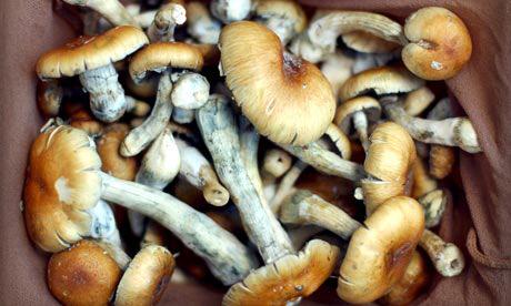 TrippyHippie's tweet photo. Let's travel to another dimension🍄🌀 http://t.co/GeF1ZGgCpA