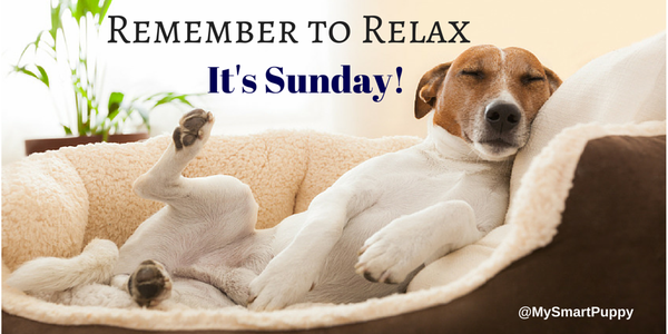 TheMsWhiz's tweet photo. What's your Sunday ritual? Yard work, family time? Tell us below but don't forget ... http://t.co/crxaNpwZnu