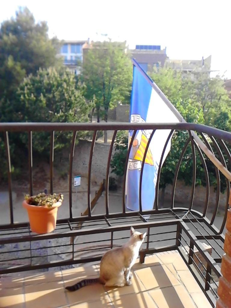 NandoRuizSBD's tweet photo. A #SantSadurni , nomes una bandera al balcó #cssabadell http://t.co/WJv98JA8nT