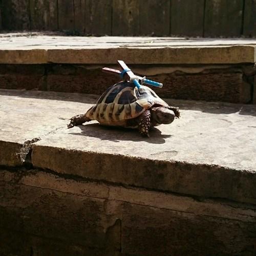 The next Teenage Mutant Ninja Turtles movie looks incredibly realistic...