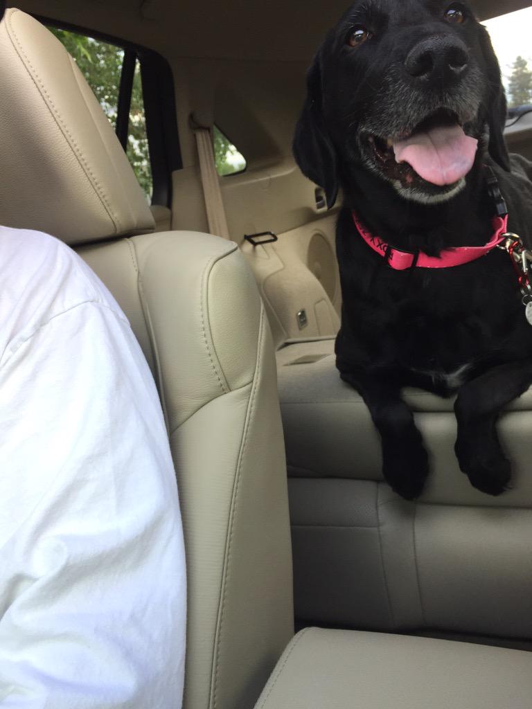 FoxyRoxilla's tweet photo. My people are back from the plains! #happyroxy http://t.co/X0dACSISdD