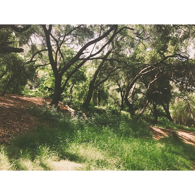 TeaganDaner's tweet image. #whitingranch #loveit #beautiful #wild #orangecounty #oc #hikingadventure