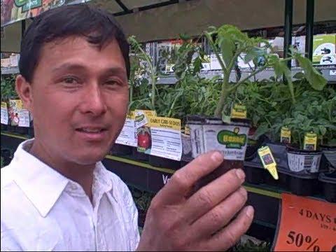 Vegetable Starts for 49 Cents This Weekend Only at Home Depot vid.staged.com/fFup #rawfood #health