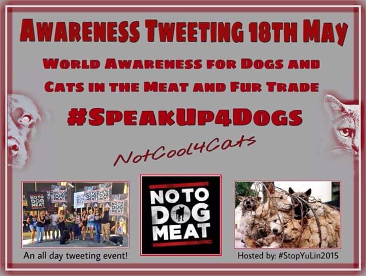 notodogmeat's tweet photo. https://t.co/b4mwVzsZJi #SpeakUp4Dogs #notcool4cats #notodogmeat #notocatmeat #animaltwittertakeover http://t.co/zVLUHChhGR