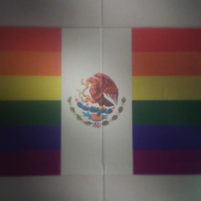 ohxdearsunshine's tweet photo. 👬👭 💑 @SaraRamirez #Pride #México #Orgullo #InternationalDayAgainsHomophobia #Equality #LGBTQ  #CallieTorres http://t.co/9iwa6Xr7c0