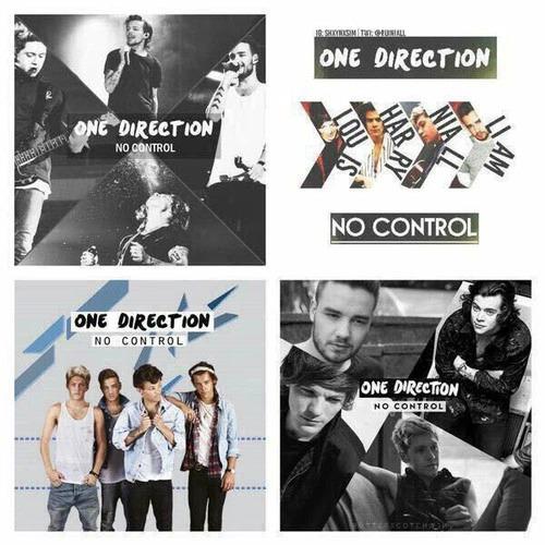 FiorellacastlmL's tweet photo. #NoControlDay #NoControlproyect esto solo es un poco de lo que las #directioners son capaces http://t.co/mtI9ZhcPFH