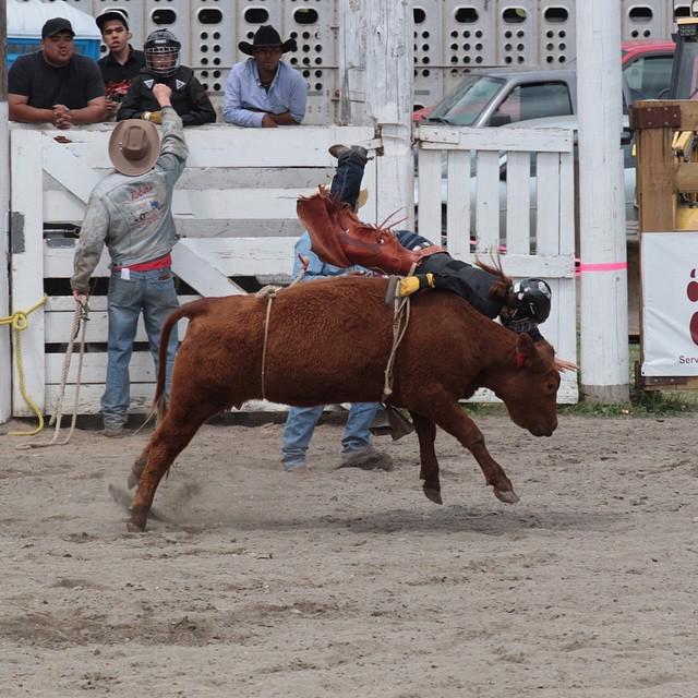 Royal_Cowgirl's tweet photo. #LillooetLake #Rodeo #explorebc #WIREA #Bulls #jrsteer #RodeoQueen by kjwphoto http://t.co/HNfzrXszVP
