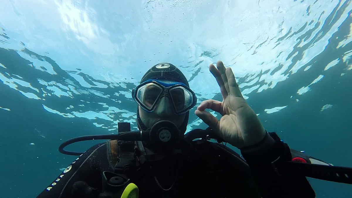 germainfrnr's tweet photo. New PP #corsica #plongée #colo2015 http://t.co/0ZVTh822Hq
