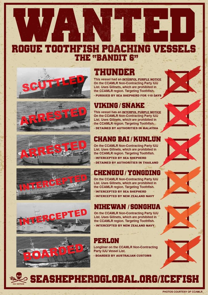 seashepherd_org's tweet photo. Just take a look at the masive victory we've booked at operation IceFish ! http://t.co/Nzj3BiM5Na