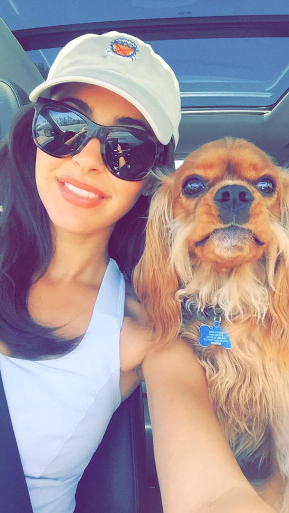 SebastianTheCKC's tweet image. BREAKING This mean mom put me on a diet @DanielleGersh AND she got my mustache shaved off #notpleased #nosalmonforme