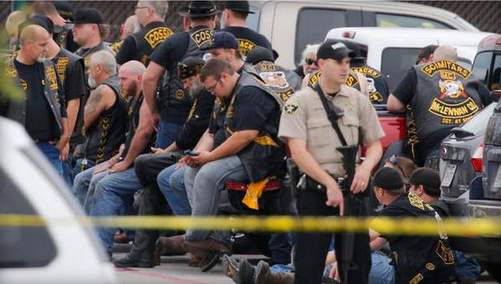 subrocon's tweet image. I'm the hootinest, tootinest, shootinest, bob-tailed wild cat in...HOLD ON GUISE!!! Let me check Twitter.