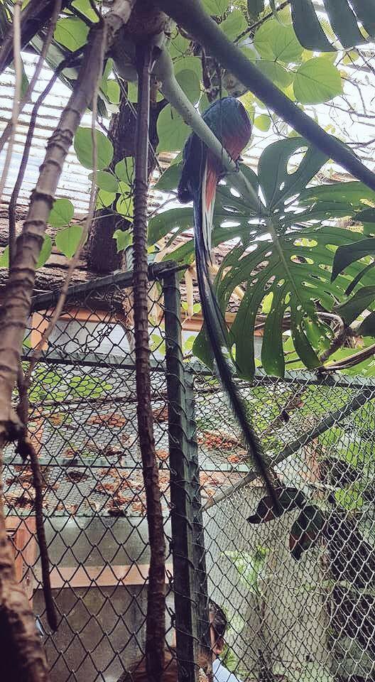TVFaro's tweet photo. Esto es sólo un poco de lo que veras en #Frisbee el lugar en el que nunca sabes donde caerás 🌿🌲 Aquí en #ElFaroTV http://t.co/WGDjyI8o9H