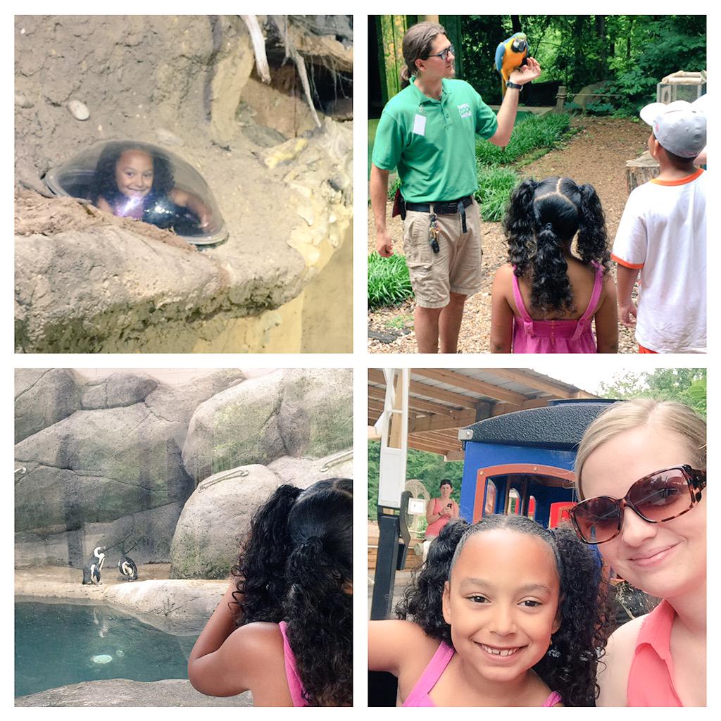 VolunteerAlex's tweet photo. Enjoyed the afternoon with my @TennesseeBig Little Sister! She loved visiting the @knoxvillezoo. #VolKnox http://t.co/oAeCNIvuN3