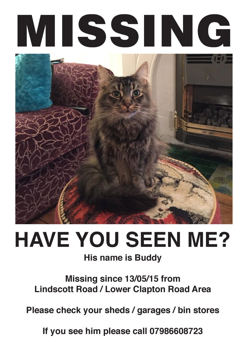 StokeyCatsnDogs's tweet photo. #Lost #Cat from #Clapton  @iloveclapton http://t.co/MUifuW6Zsi