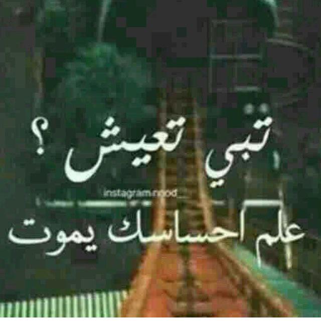 Reem09886's tweet photo. http://t.co/qd5Nz5Flb0